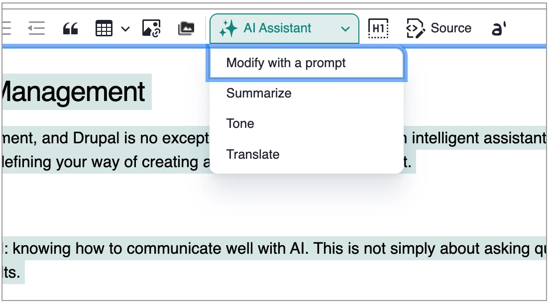 Capture of the editor window in Drupal