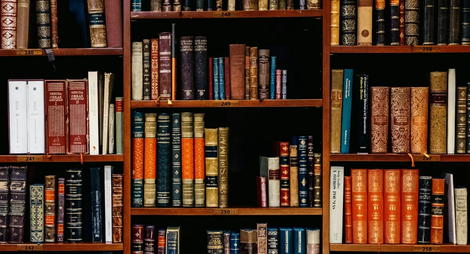 Étagères remplies de livres colorés et divers, alignés côte à côte.